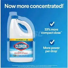 CLOROX BLEACH HALF GAL 2L - CBHG2L