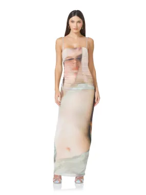 Jennan Ruched Photoprint Mesh Maxi Dress - Nude Portrait